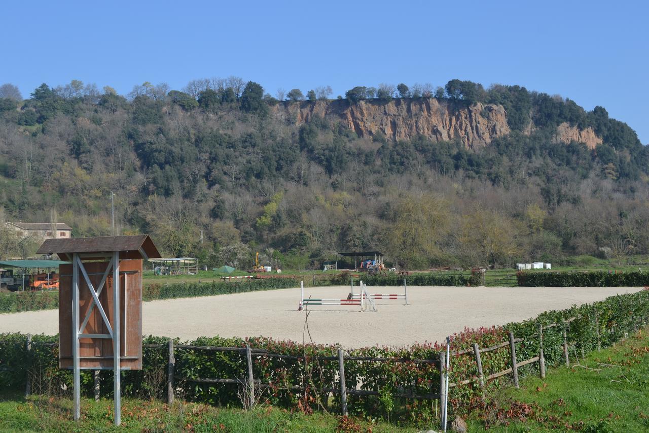 Agriturismo Le Forre del Treja Villa Civita Castellana Exterior foto