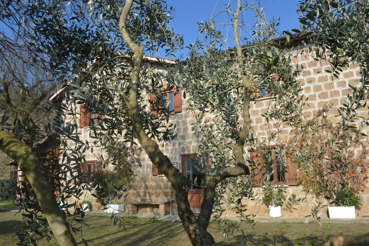Agriturismo Le Forre del Treja Civita Castellana Exterior foto